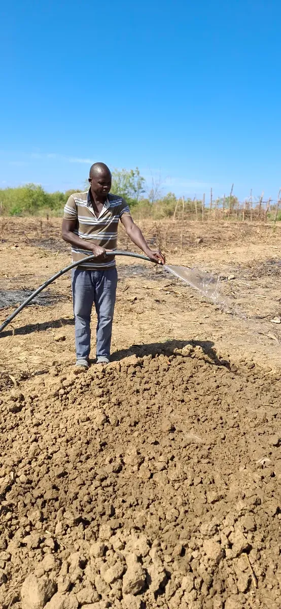 Solar-powered farming